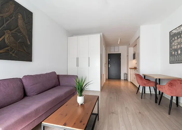 Rentplanet - Ptasia *